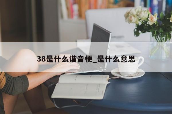 38是什么谐音梗_是什么意思